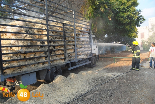 fire truck 804 (12).JPG